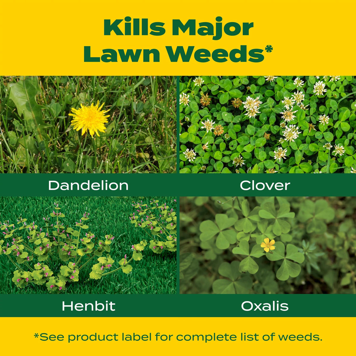 Liquid Turf Builder Plus 2 Weed Control 32 fl. oz. M131