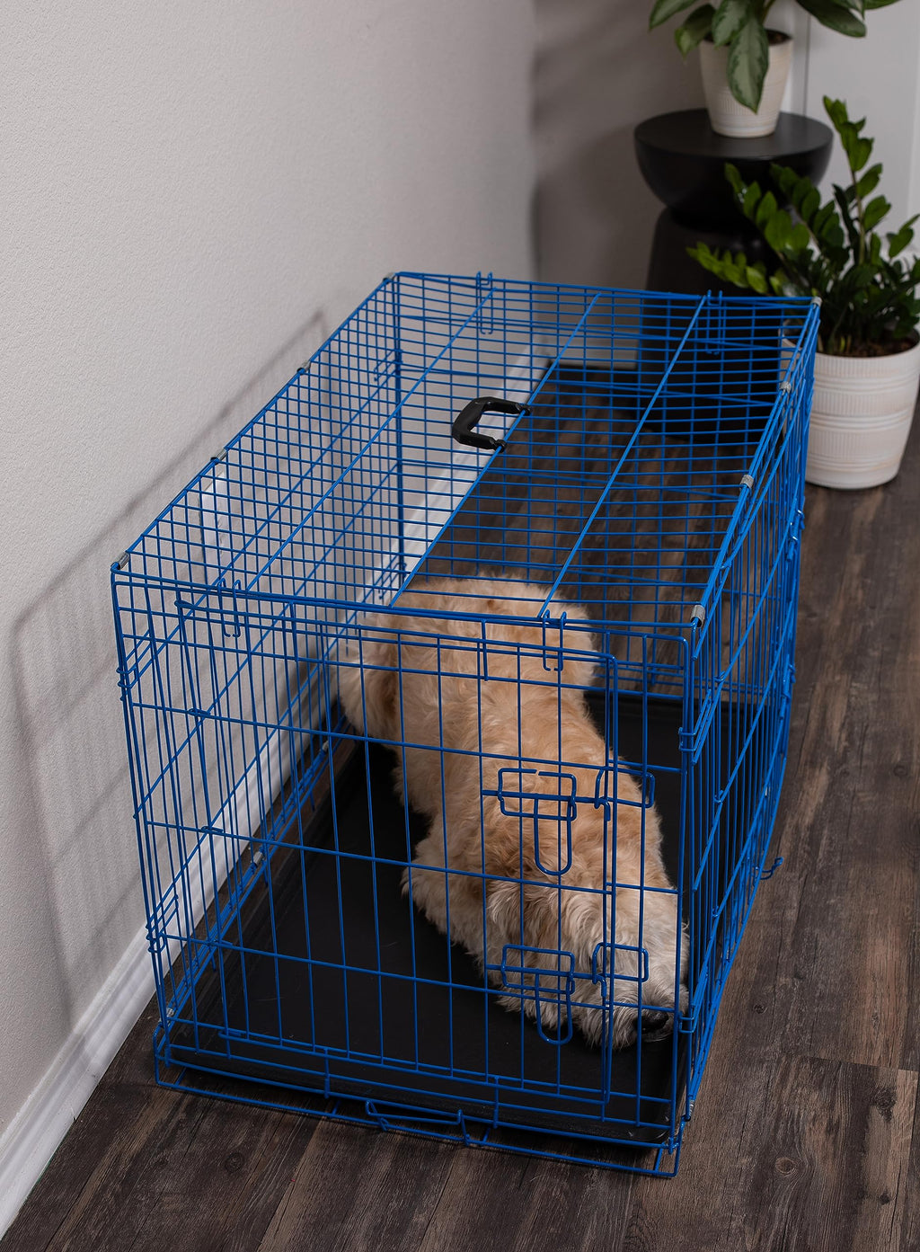 Medium 36 Inches Double Door Metal Steel Dog Kennel K52049