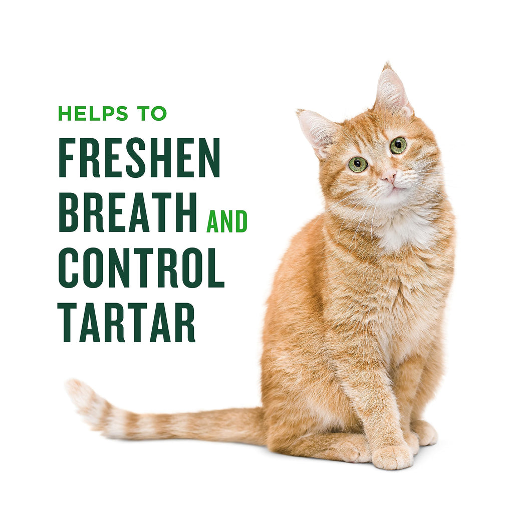 Salmon Flavor Dental Treats for Cats 2.5oz C41027