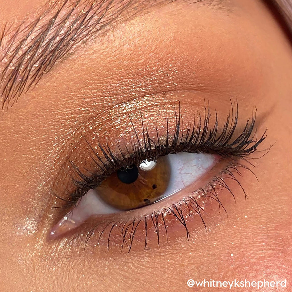 Cool-Toned Neutral Eyeshadow Palette 0.3 oz B89222